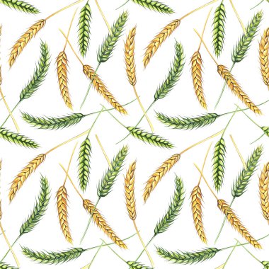 Buğday kulaklarının kusursuz deseni. Duvar kâğıdı, kart tasarımı, ambalaj, mutfak tasarımı, duyurular, davetiyeler, tebrikler, kapaklar için. Suluboya desenleri, el yapımı illüstrasyon unsurları..