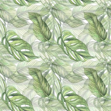 Kusursuz canavar deseni ve tropik muz yaprakları. Duvar kağıtları, kartlar, duyurular, reklam davetiyeleri için. Suluboya el çizim elementleriyle desen. 