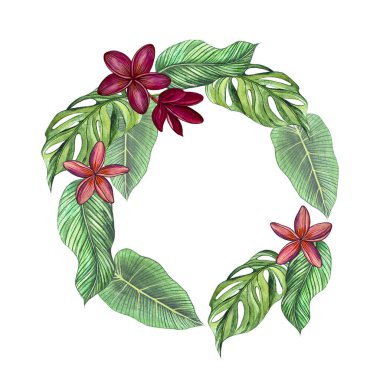 Monstera ve muz tropikal yaprakları tasarım kartları için çerçeve, duyurular, promosyon davetiyeleri beyaz bir arkaplan çerçevesi üzerinde tesisat çiçekleri. Suluboya el çizimi. 