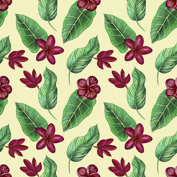 Бесшовный рисунок тропических банановых листьев и цветов плюмерии. Для дизайнерских открыток, объявлений, рекламных приглашений. Шаблон с элементами ручной иллюстрации акварелью. 