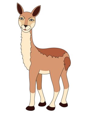 Beyaz arka planda izole edilmiş şirin bir vicuna. Vektör illüstrasyonu.