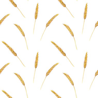 Buğday kulaklarının kusursuz deseni. Duvar kağıdı, kart tasarımı, ambalaj, mutfak tasarımı, duyurular, davetiyeler, tebrikler, kapaklar için. Suluboya deseni, elle çizilmiş illüstrasyon elemanları.