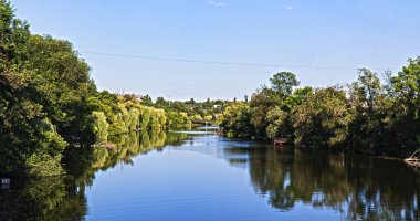 Yeşil ağaçlı nehir manzarası
