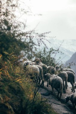 Himalayalar 'ın Ay' lı doğal güzelliği, Himachal Pradesh