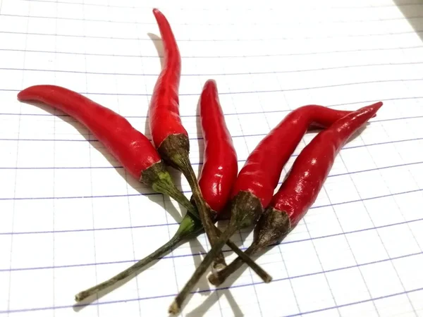 Scharfe Rote Chilischote Auf Dem Hintergrund Einer Schwarzen Chilischote Paprika — Stockfoto