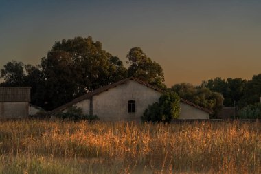 Cezayir 'deki bir çiftlikten gün batımı