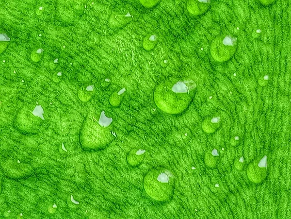 Water Droplets Leaves Rain Stops — Stock Photo, Image