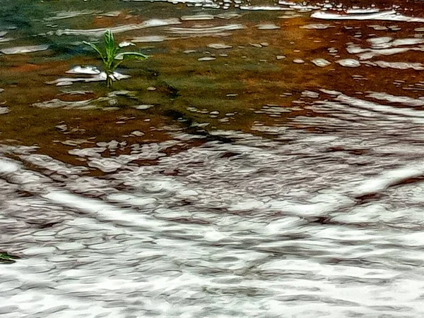 Дождевая Вода Падает Застойную Область — стоковое фото