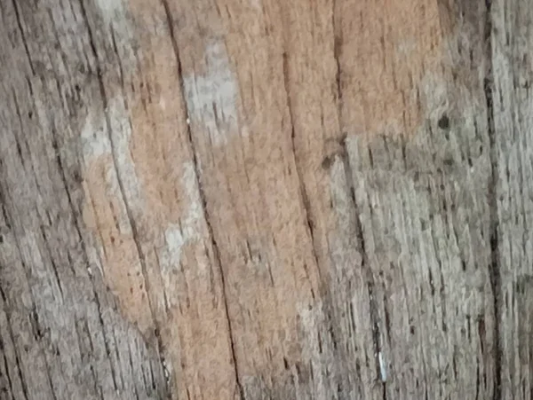 Old Wood Grain Weathered — Stock Photo, Image