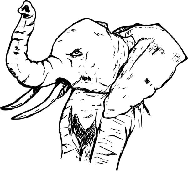 Desenho Estilo Elefante Ilustração —  Vetores de Stock