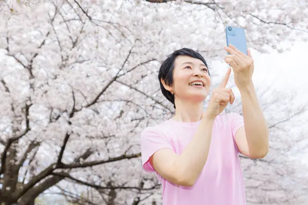 Asian Woman Taking Picture Park Sakura Blossom — Stock Photo, Image