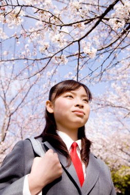 Çiçek açan sakura ağacının üzerinde poz veren güzel ve tatlı Japon okul kızının portresi.
