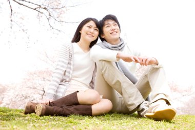 Sakura çiçeği açarken parkta birlikte vakit geçiren genç Japon çiftin portresi.