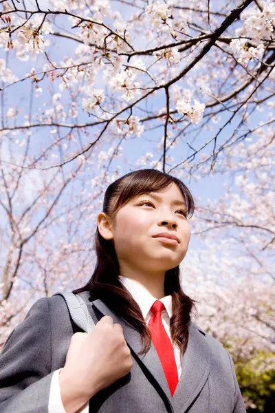 Portrait Beautiful Cute Japanese Schoolgirl Posing Blooming Sakura Tree Background — Stock Photo, Image