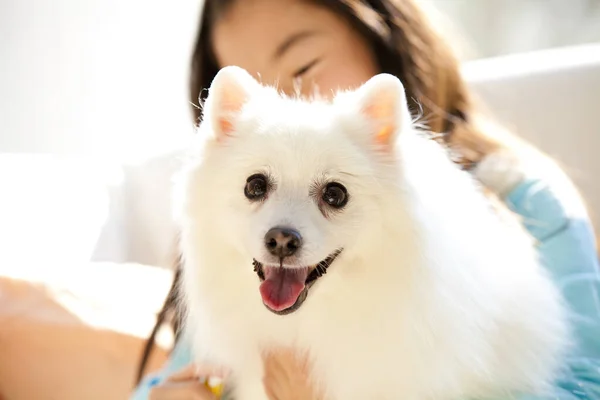 Portrait Adorable Happy Japanese Girl Her Puppy — Stock Photo, Image