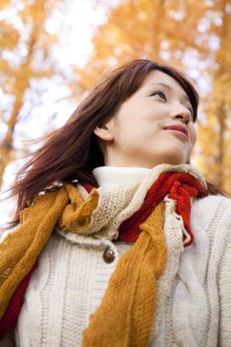 Genç ve güzel bir kadın sonbahar ormanında poz veriyor.