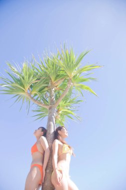 İki kadın sahilde palmiye ağacının altında poz veriyor.