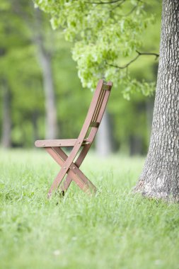 boş ahşap sandalye bahçede yeşil çimlerin üzerinde ağacın altında