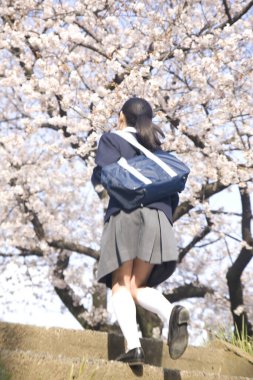 Çiçek açan sakura ağacının üzerinde poz veren güzel ve tatlı Japon okul kızının portresi.