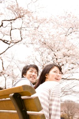 Sakura çiçeği açarken parkta birlikte vakit geçiren genç Japon çiftin portresi.