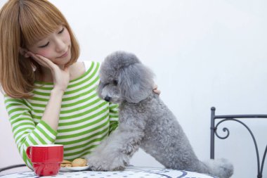 Gri kaniş köpeğiyle güzel Asyalı kadın portresi