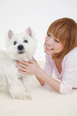 Güzel Japon kız küçük beyaz köpeğe sarılıyor. Stüdyo çekimi