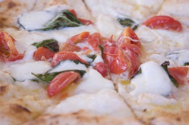 Mozzarella peyniri, fesleğen ve parmak uçlarıyla taze pizza.
