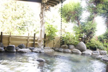 Japonya manzaralı güzel bir bahçe. 