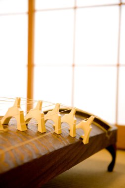 Bir Koto 'nun yakın görüntüsü. Japon sökülen yarım tüp zither enstrümanı