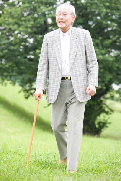 senior japanese man walking in park with walking stick