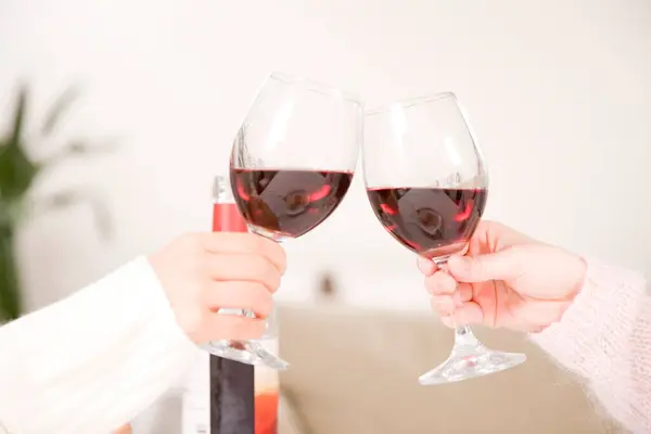 Kvinnor Som Håller Glas Med Rött Vin Inomhus — Stockfoto