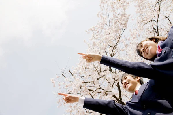 Mladý Asijské Pár Lásce Hledá Cherry Květ Květy Jaře — Stock fotografie