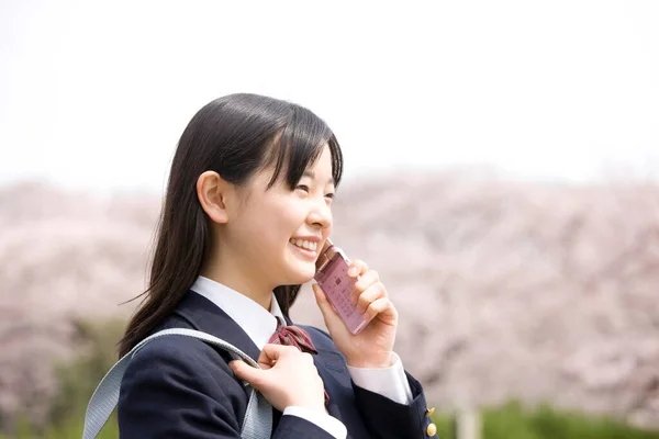 Азіатська Дівчина Шкільній Формі Телефоном Вишневих Квітах Весняний Час — стокове фото