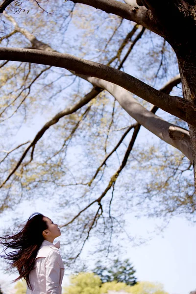 Nízký Úhel Pohledu Atraktivní Mladé Asijské Ženy Pózující Jarním Parku — Stock fotografie