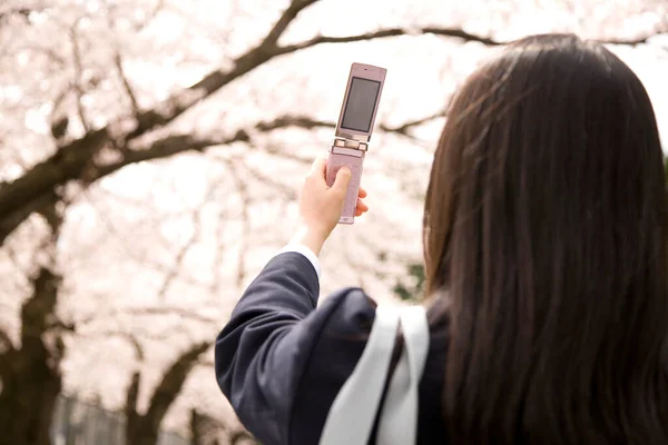 身穿校服的亚洲女孩在樱花丛中拍照 — 图库照片