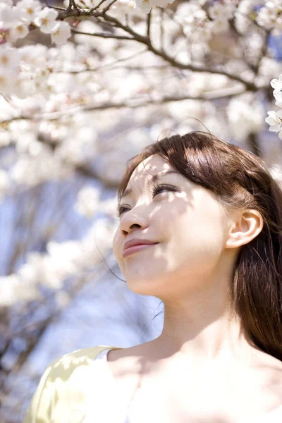 在公园里 年轻的亚洲女子在开花的树木旁边摆姿势 面带微笑 面带微笑 — 图库照片