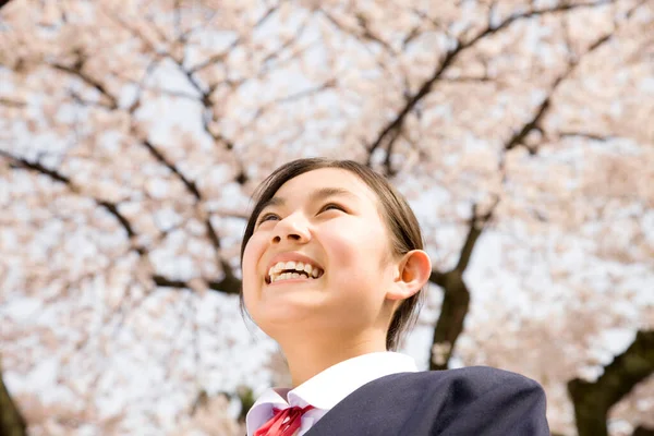 Porträt Der Schönen Japanerin Schuluniform Vor Dem Hintergrund Des Blühenden — Stockfoto
