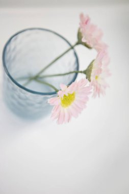 Beyaz arkaplanda güzel bir çiçeğin dikey çekimi