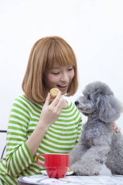 Gri kaniş köpeğiyle güzel Asyalı kadın portresi