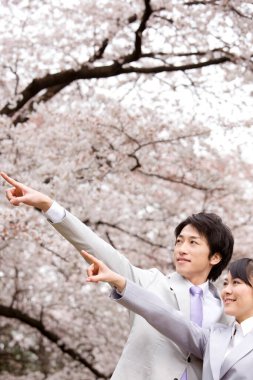 Sakura çiçeği açarken parktaki mutlu Japon iş adamlarının portresi.