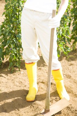 Bahçede kürekle sarı lastik çizme giyen çiftçinin alt kısmı.