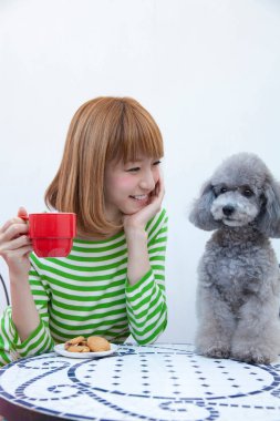 Gri kaniş köpeğiyle güzel Asyalı kadın portresi