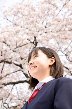 Çiçek açan kiraz ağacının arka planında okul üniformalı güzel Japon kızın portresi.