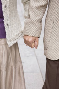 Mutlu Asyalı olgun bir çiftin açık havada çekilmiş portresi.