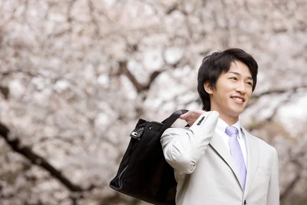 Портрет Молодого Японского Бизнесмена Парке Время Цветения Сакуры Весной — стоковое фото