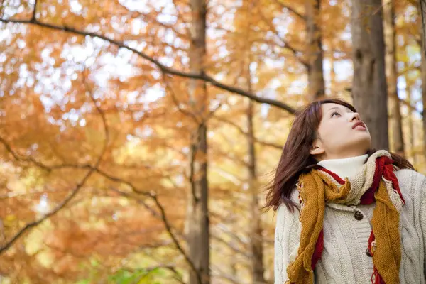 Młoda Piękna Kobieta Pozowanie Jesiennym Lesie — Zdjęcie stockowe