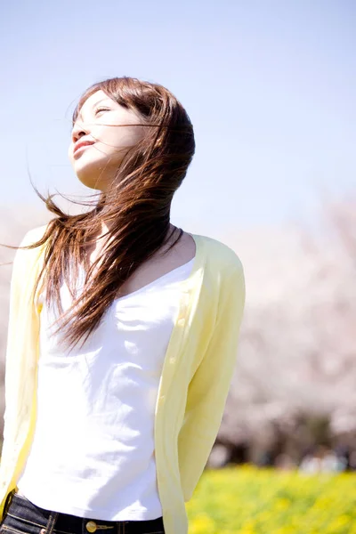 Niedrigwinkel Ansicht Von Fröhlich Attraktive Junge Asiatische Frau Posiert Park — Stockfoto