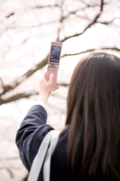 Portrait Young Girl Taking Photo Pink Sakura Flowers Smartphone — Stock Photo, Image