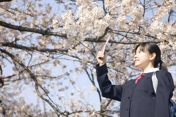 Egy Fiatal Lány Portréja Aki Rózsaszín Sakura Virágokat Fényképez Okostelefonnal — Stock Fotó
