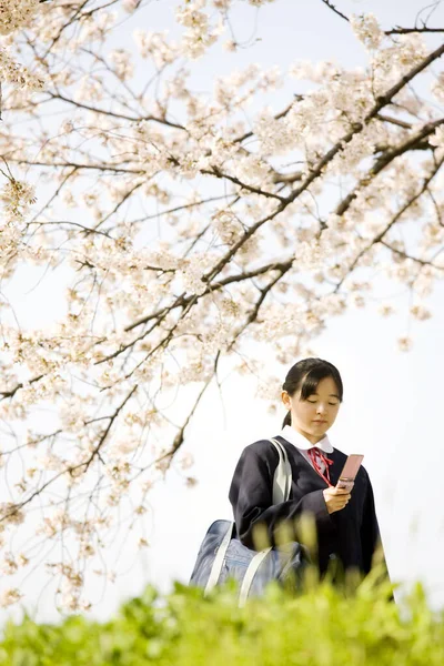Πορτρέτο Ενός Νεαρού Κοριτσιού Που Φωτογραφίζει Ροζ Λουλούδια Σακούρα Ένα — Φωτογραφία Αρχείου